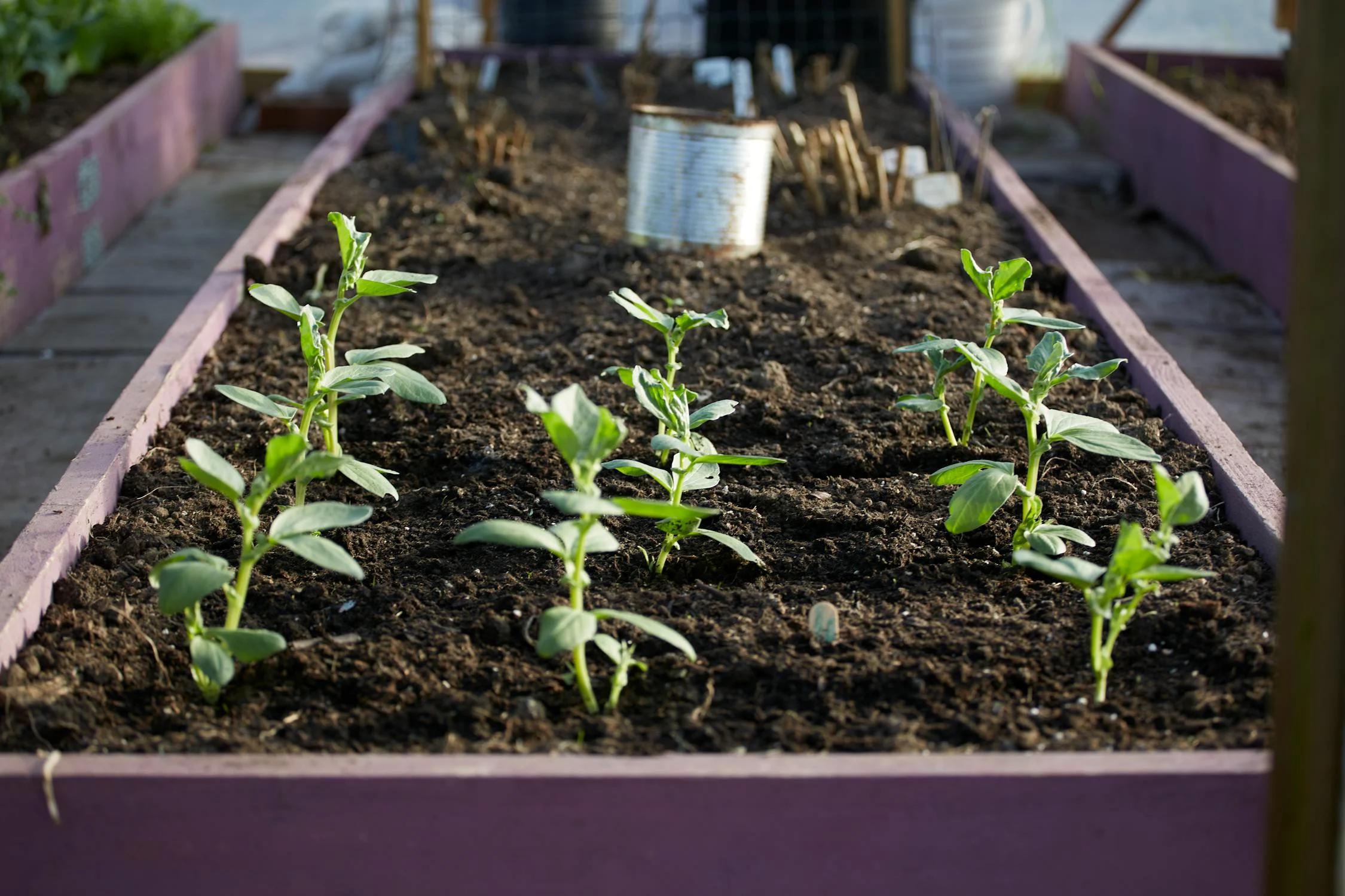 No Dig Gardening Techniques No Dig Gardening Techniques